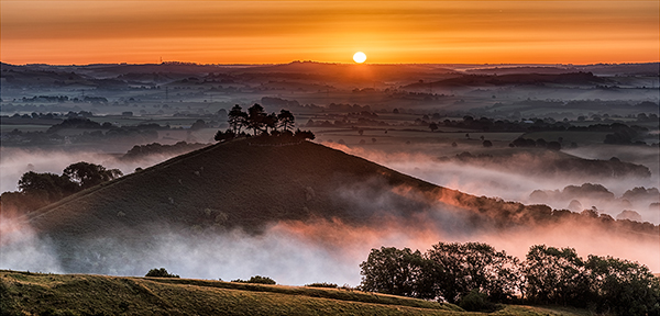 Colmers Hill Sunrise by Robert Williams